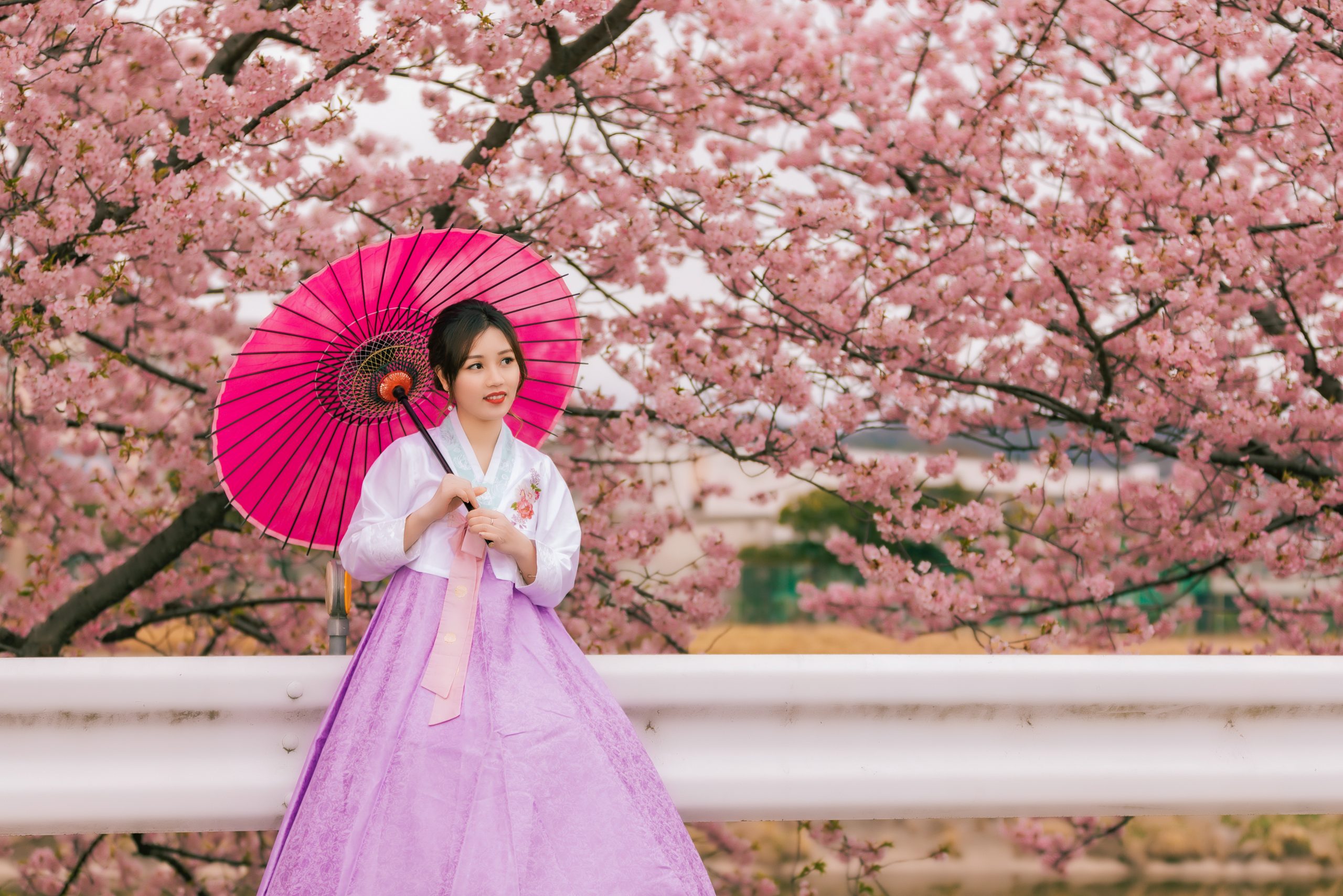 le-v-tement-traditionnel-cor-en-hanbok-la-cor-e-en-lumi-re