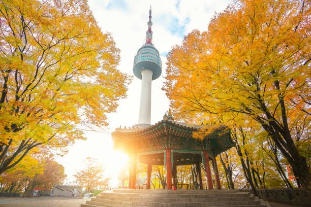 N Seoul Tower (©NeoPhoto)