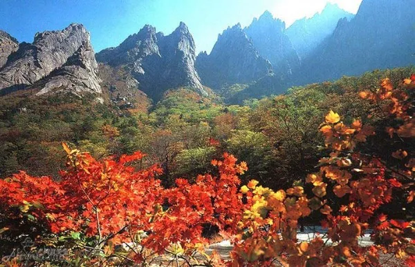Des pics du mont Kumgang en automne (©Namuwiki).
