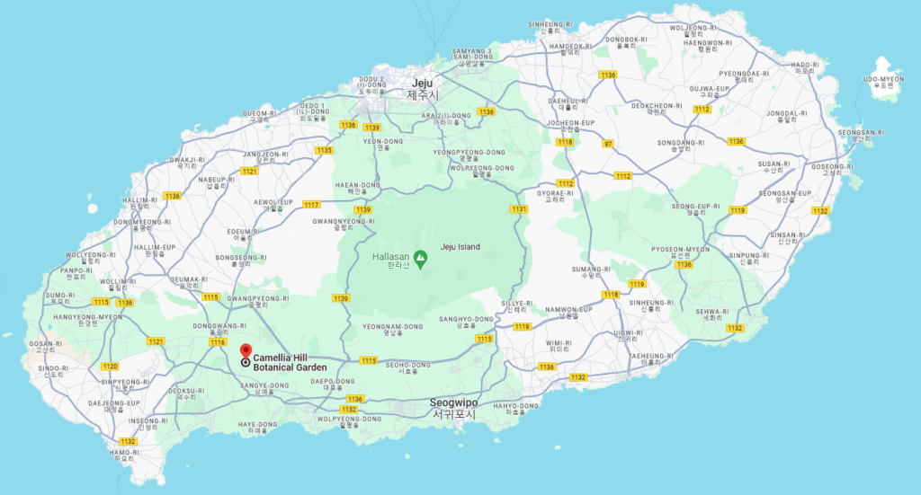 Indication de l'emplacement de Camellia Hill sur une carte de Jeju (©Google Maps).